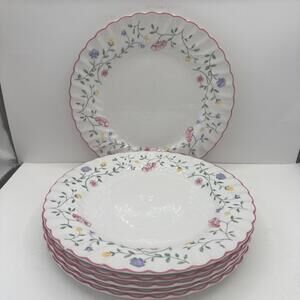 Vtg Set 6 Johnson  Brothers Summer Chintz 10-1/2" Dinner Plates Made In England